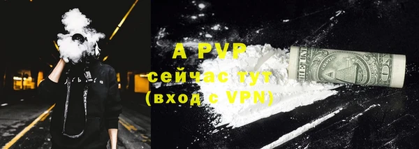 гашиш Богданович