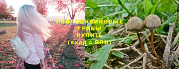 гашиш Богданович