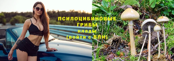 твердый Аркадак