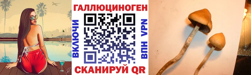 Галлюциногенные грибы Cubensis  дарнет шоп  Верхняя Салда 